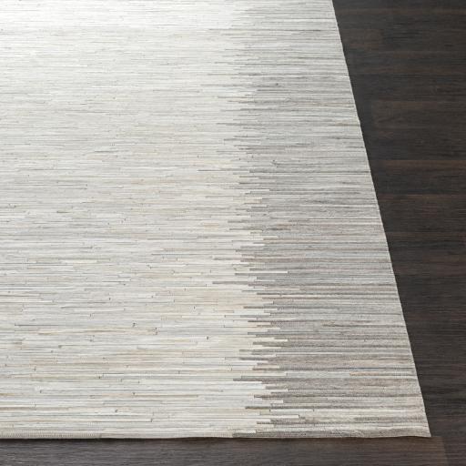 Surya Zander ZND-1004 Beige Ivory 2' x 3' Rug
