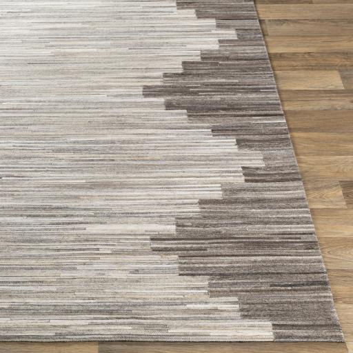 Surya Zander ZND-1007 2' x 3' Rug