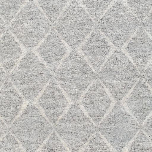 Surya Zara ZAR-2304 Charcoal Gray 6' x 9' Rug