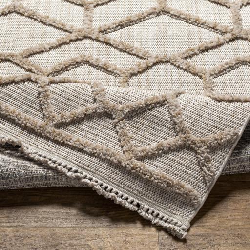 Surya Zaragoza ZRZ-2309 6'7" x 9' Rug