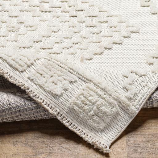 Surya Zaragoza ZRZ-2316 5'3" x 7' Rug