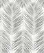 Seabrook Marina Palm Daydream Grey Wallpaper