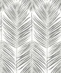 Seabrook Marina Palm Daydream Grey Wallpaper
