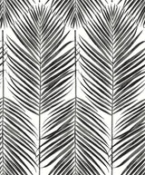 Seabrook Marina Palm Ebony Wallpaper