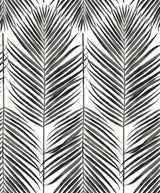 Seabrook Marina Palm Black Wallpaper