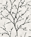Seabrook Avena Branches Contrast Wallpaper