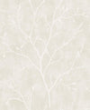 Seabrook Avena Branches Soft Cream Wallpaper