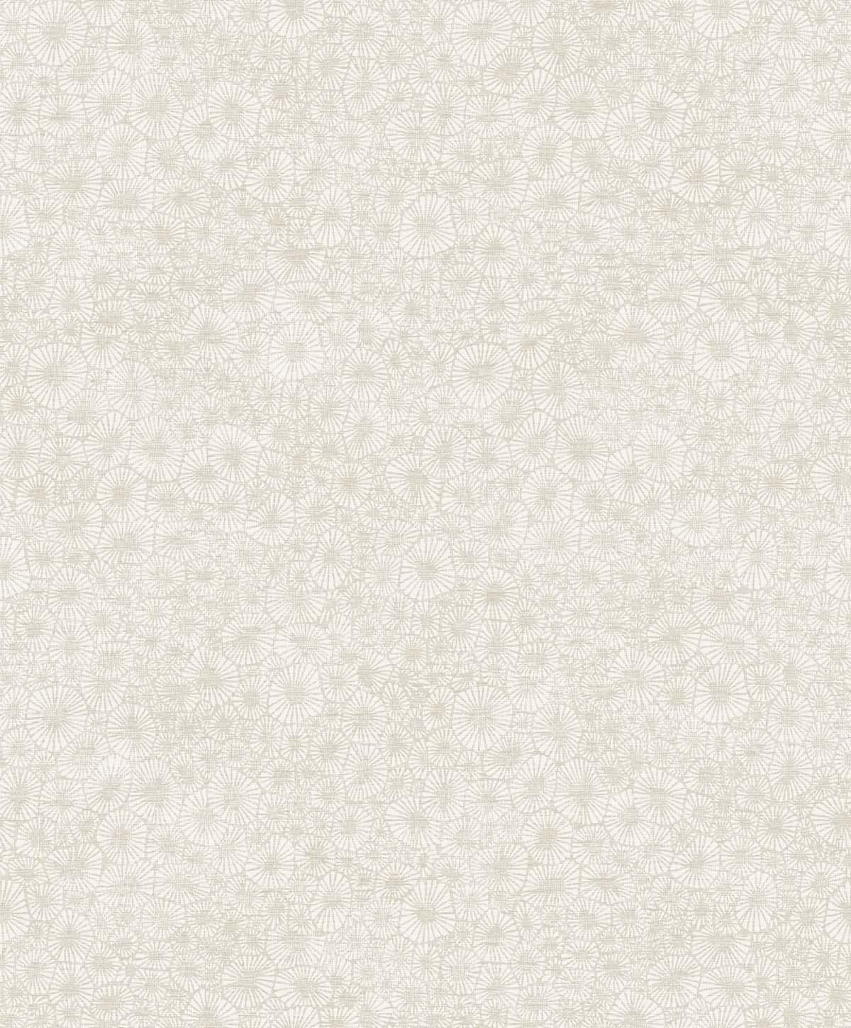 Seabrook Windham Shells South Sea Pearl Wallpaper