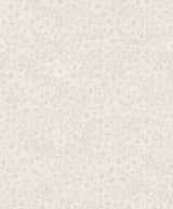 Seabrook Windham Shells South Sea Pearl Wallpaper