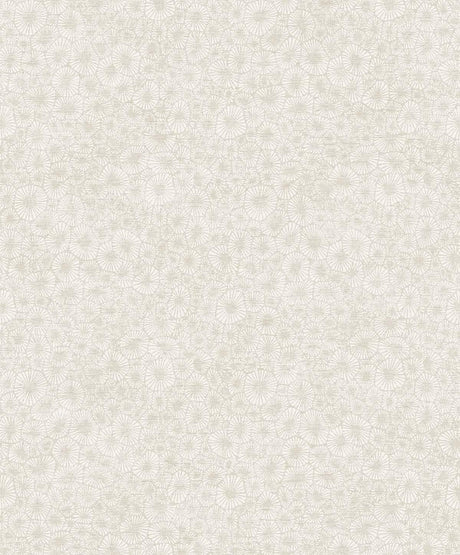 Seabrook Windham Shells South Sea Pearl Wallpaper