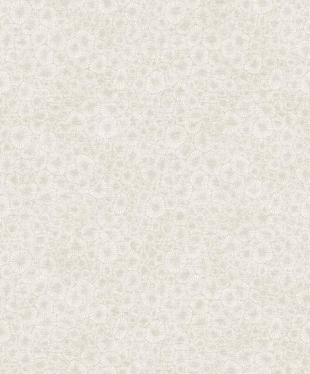 Seabrook Windham Shells South Sea Pearl Wallpaper