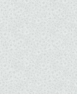 Seabrook Windham Shells Grey Pearl Wallpaper