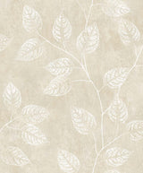 Seabrook Branch Trail Silhouette Summer Sand Wallpaper