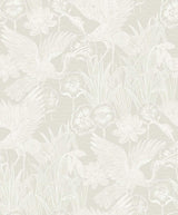 Seabrook Marsh Cranes Daylight Wallpaper