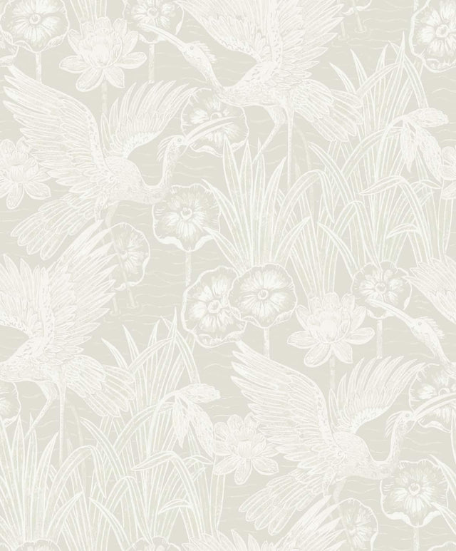 Seabrook Marsh Cranes Daylight Wallpaper