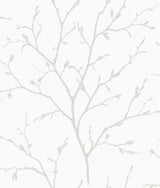 Seabrook Branching Out Winter Grey Wallpaper
