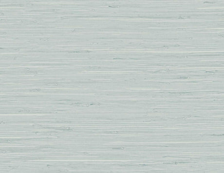 Seabrook Marion Faux Arrowroot Pale Sky Wallpaper