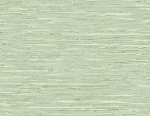 Seabrook Marion Faux Arrowroot Frosted Grass Wallpaper