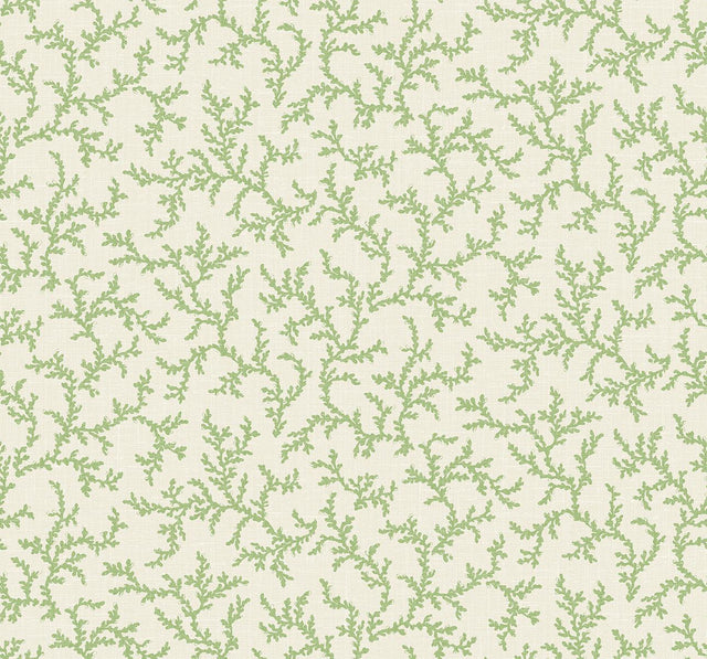 Seabrook Corail Herb Wallpaper