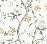 Seabrook Sparrow Haven Multicolored Wallpaper