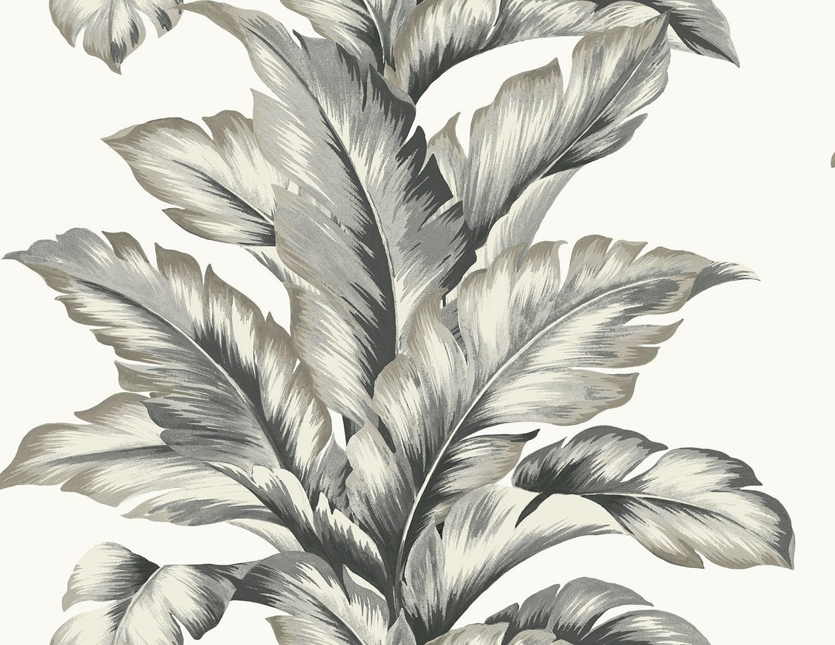 Seabrook Banana Springs Grey Wallpaper