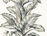 Seabrook Banana Springs Grey Wallpaper
