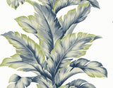 Seabrook Banana Springs Blue Wallpaper