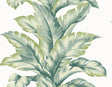 Seabrook Banana Springs Rivercrest Wallpaper