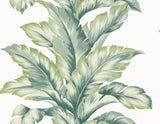 Seabrook Banana Springs Green Wallpaper
