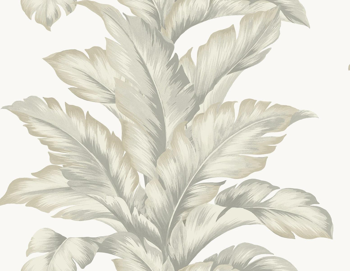 Seabrook Banana Springs Fieldstone Wallpaper