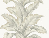 Seabrook Banana Springs Fieldstone Wallpaper