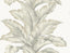 Seabrook Banana Springs Fieldstone Wallpaper