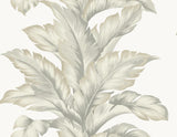 Seabrook Banana Springs Grey Wallpaper