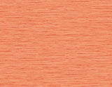Seabrook Loe Sanctuary Stria Orange Wallpaper