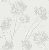Seabrook Wild Grass Off-White Wallpaper