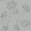 Seabrook Wild Grass Silversmoke Wallpaper