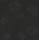 Seabrook Wild Grass Midnight Galaxy Wallpaper