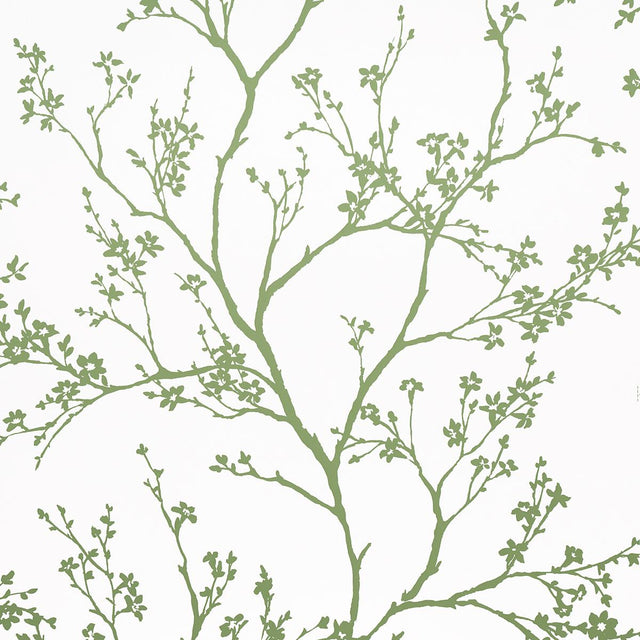 Schumacher Twiggy Green Wallpaper