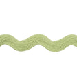 Schumacher Celadon Ric Rac Tape Large