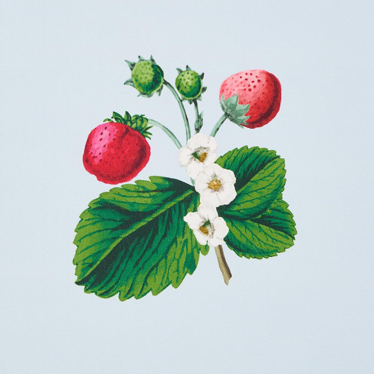 Schumacher Strawberry Hill Blue Wallpaper