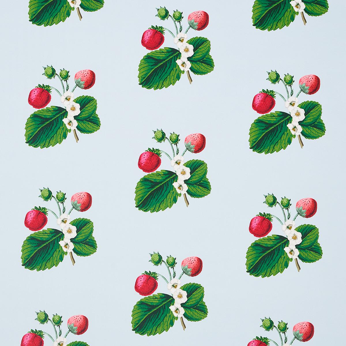 Schumacher Strawberry Hill Blue Wallpaper