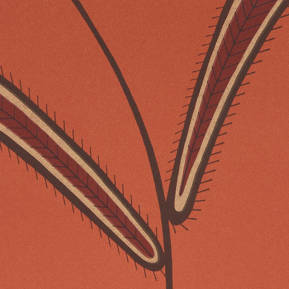 Schumacher Caterpillar Leaf Tomato Wallpaper