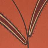 Schumacher Caterpillar Leaf Tomato Wallpaper