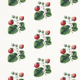 Schumacher Strawberry Hill White Fabric