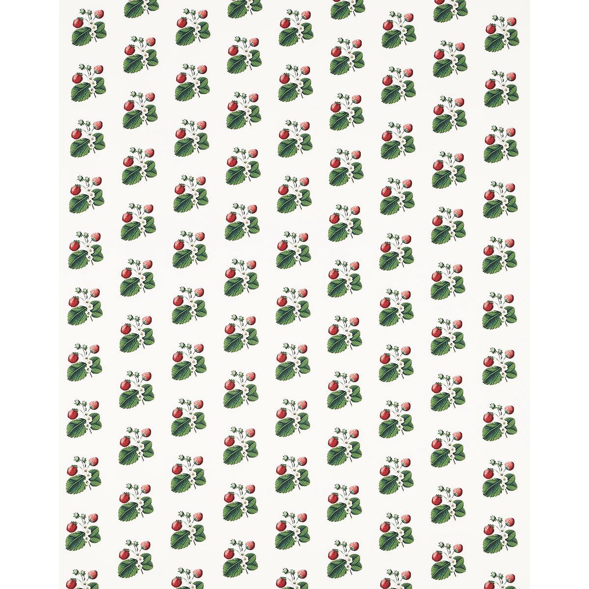 Schumacher Strawberry Hill White Fabric