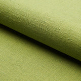 Schumacher Marco Performance Linen Leaf Fabric
