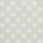 Schumacher Watermark Powder Grey Wallpaper