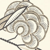 Schumacher Jacob'S Tree Black & Cream Wallpaper