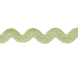 Schumacher Celadon Ric Rac Tape Medium
