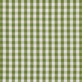Schumacher Elton Cotton Check Leaf Fabric